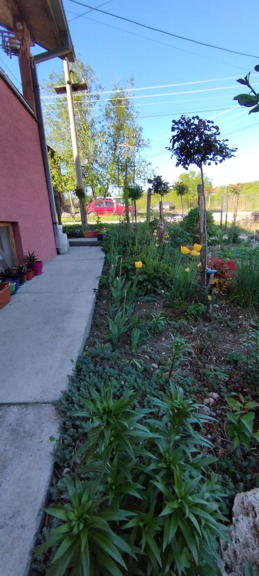 Stancic 019 Apartman Zaječar Kültér fotó