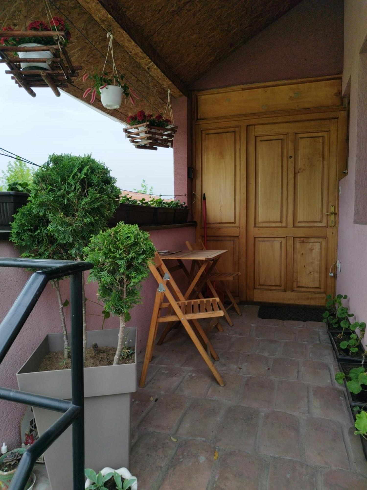 Stancic 019 Apartman Zaječar Kültér fotó